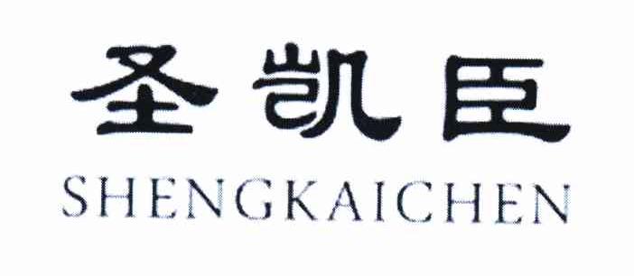 凯发ks96.cc中企赴美上市公开备案中介机构盘点(截至2025年1月15日)